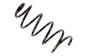 Пружина передняя Citroen c4, Peugeot 307 (арт. 21028)