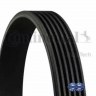 Ремень поликлиновый Dayco — 6PK900