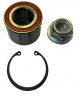 Подшипник задней ступицы Renault сlio I, Logan I, Sandero I, Megane I (арт. 25013525)