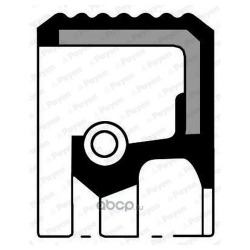 Сальник коленвала, задний Renault Clio II, Logan I, Sandero I, Megane II, Scenic II, Laguna II, Kangoo I, Lada Largus, Nissan Almera g15 (арт. NA5118)