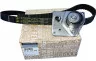 Комплект ремня ГРМ (Оригинал) Renault Scenic II, Laguna II, Espace IV, Trafic II, Master II, Opel Movano, Vivaro A, Nissan Primastar F9Q, 1,9 D